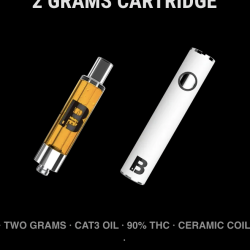 2G CARTRIDGE